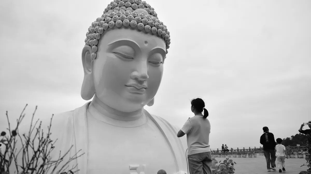 The highest state of cultivating the mind